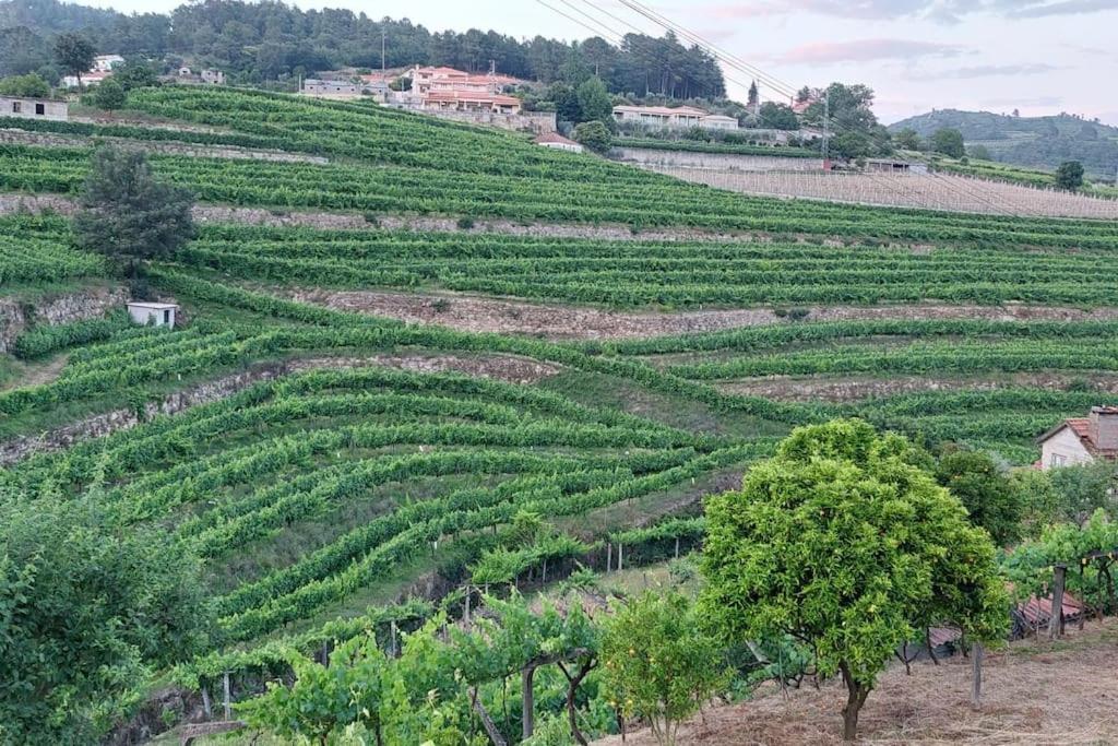 Вілла Quinta Dos Castros Douro Байан Екстер'єр фото