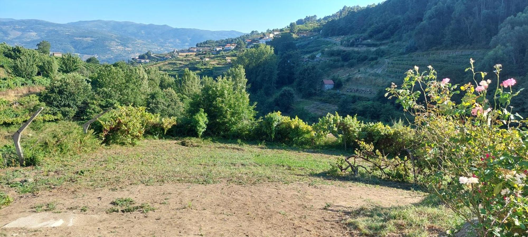 Вілла Quinta Dos Castros Douro Байан Екстер'єр фото