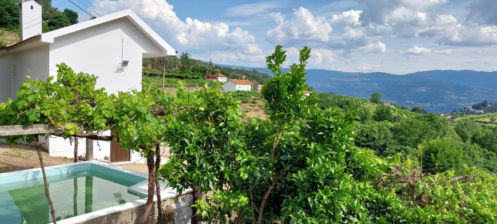 Вілла Quinta Dos Castros Douro Байан Екстер'єр фото