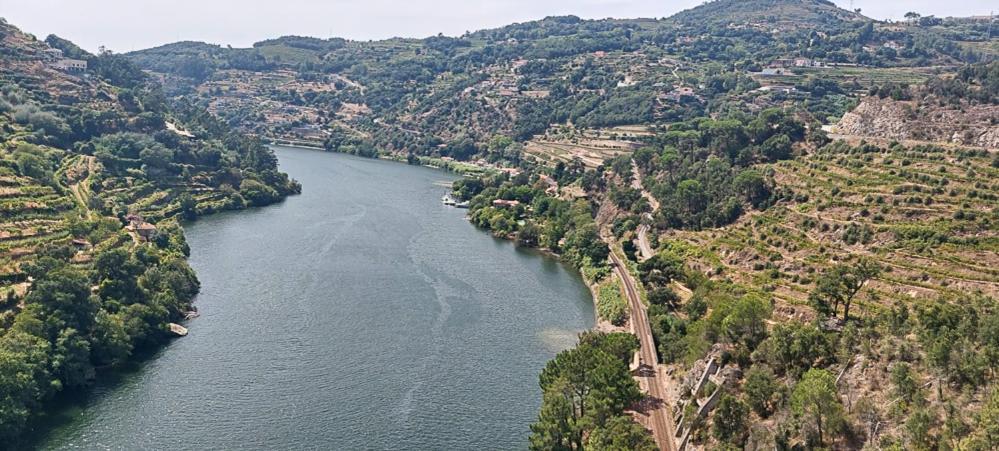 Вілла Quinta Dos Castros Douro Байан Екстер'єр фото