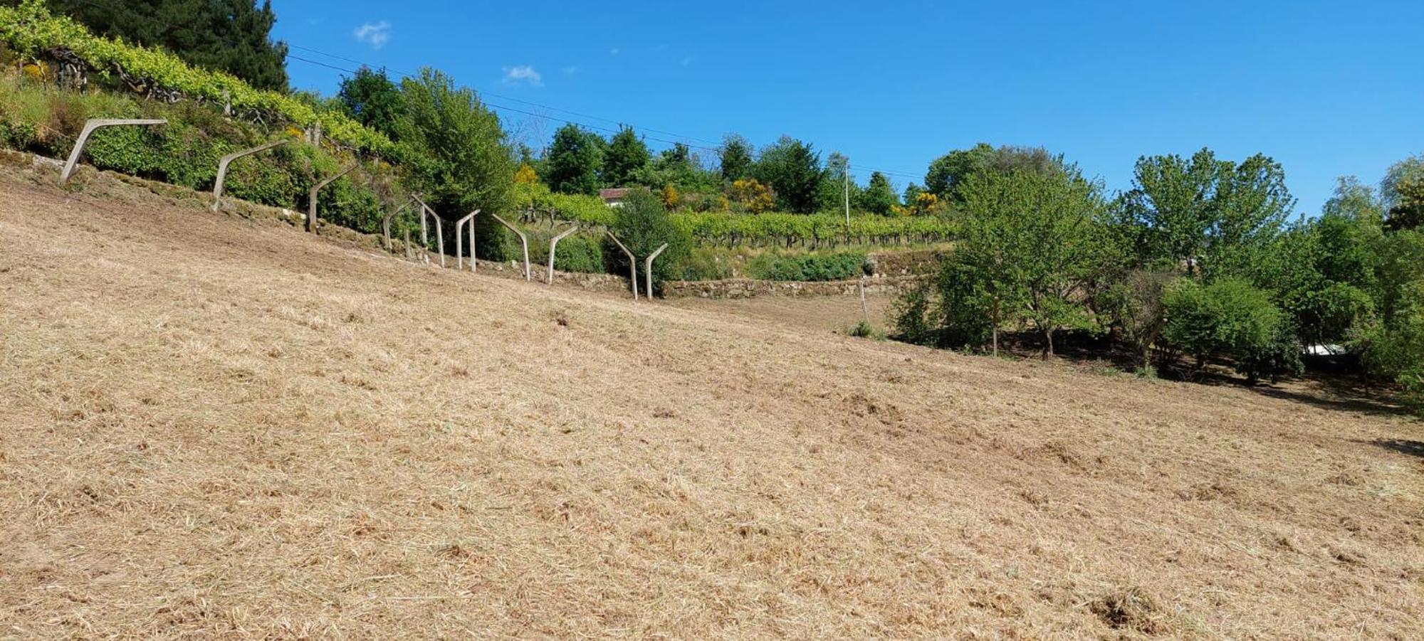 Вілла Quinta Dos Castros Douro Байан Екстер'єр фото